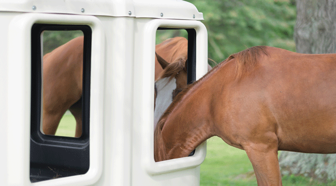 Cashmans All Weather Hay Feeder - Image 3