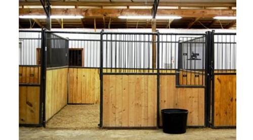 Equestrian World Stall