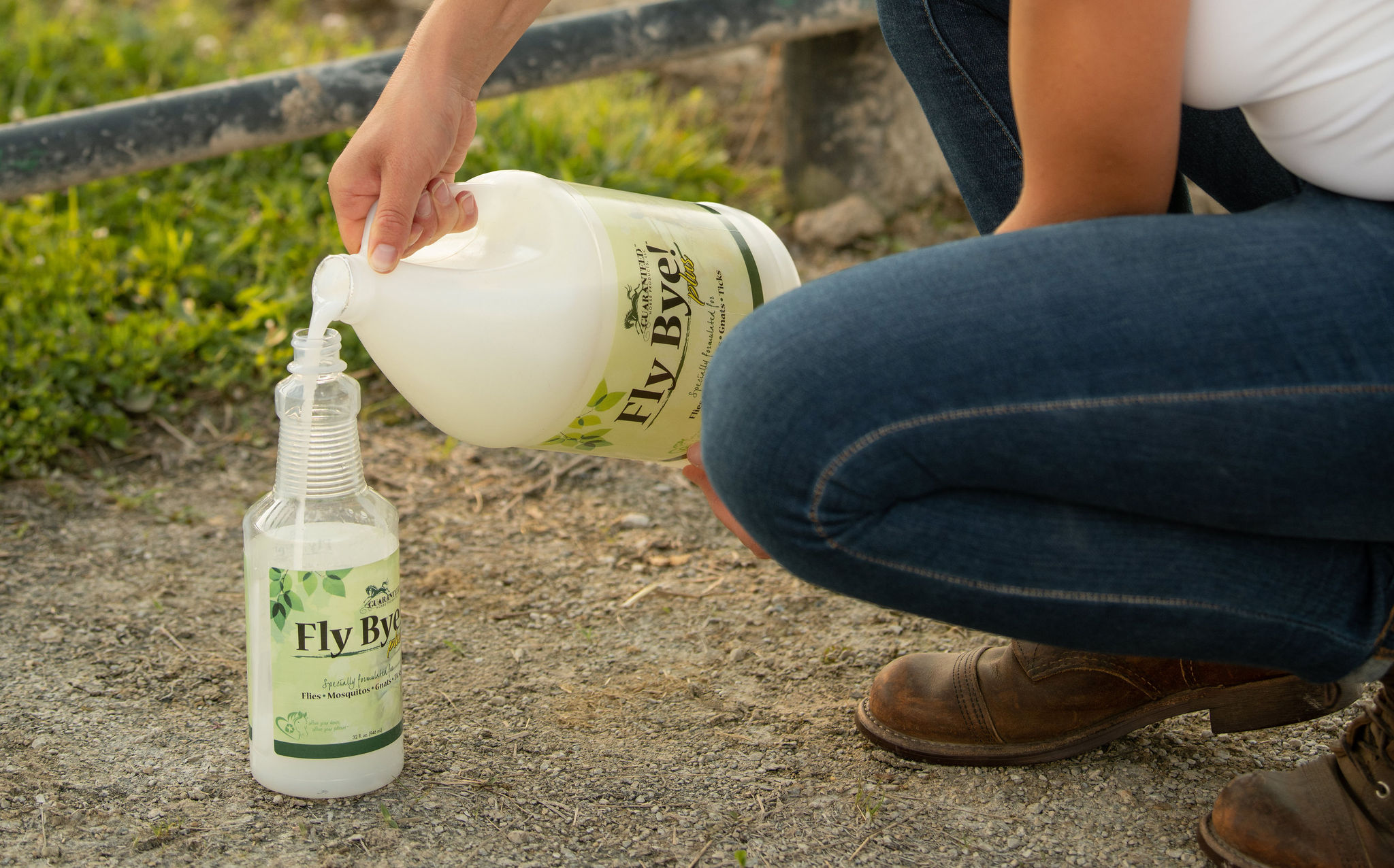 Fly Bye! Plus - Image 5