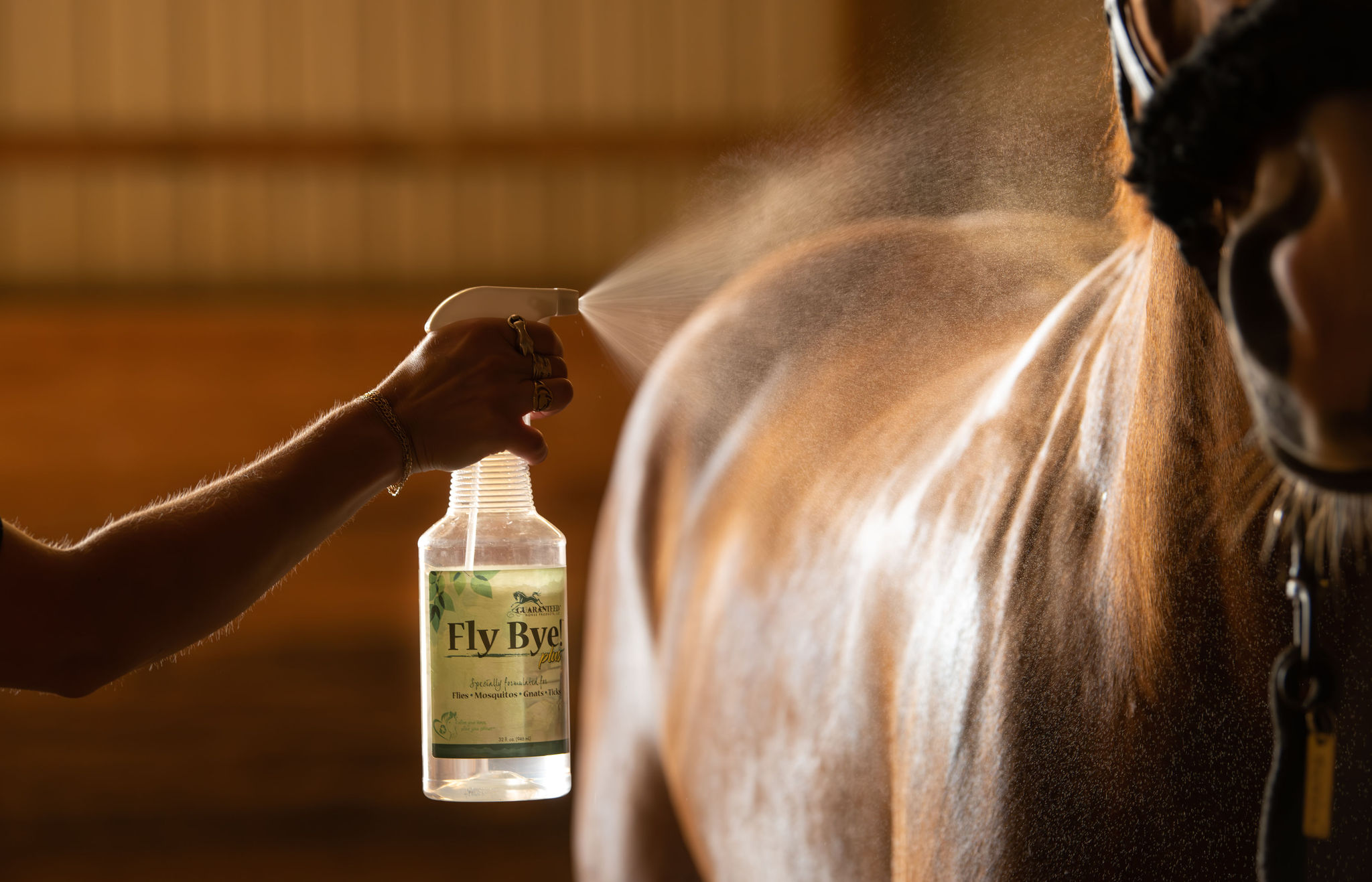 Fly Bye! Plus - Image 3