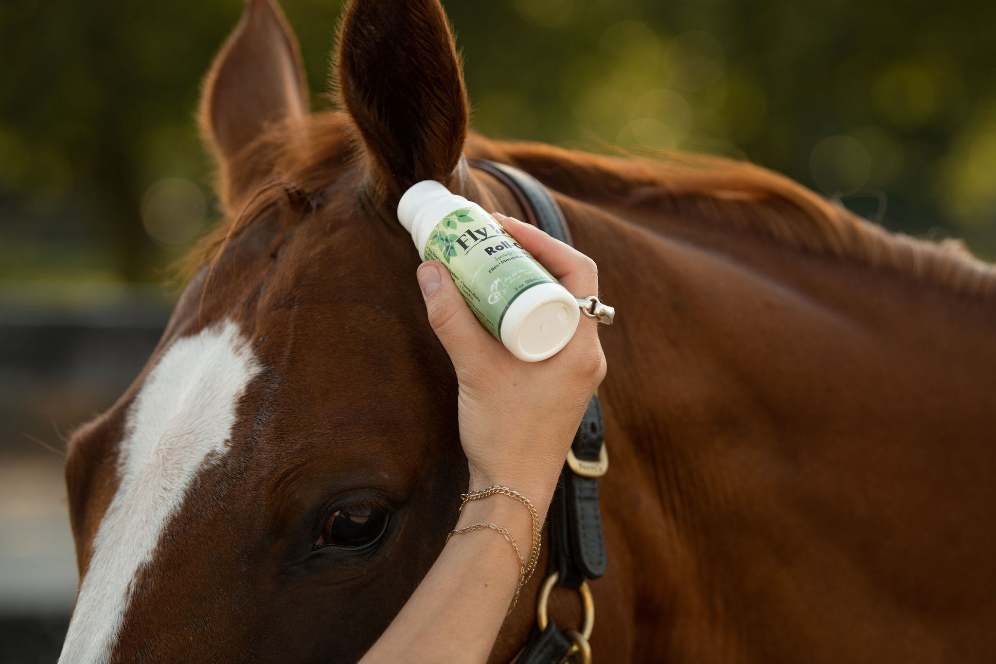 Fly Bye! Plus - Image 4