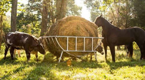 Hay Cradle Round Bale Feeder