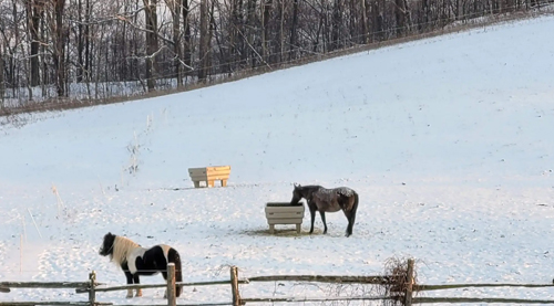 Hay Optimizer - Image 4