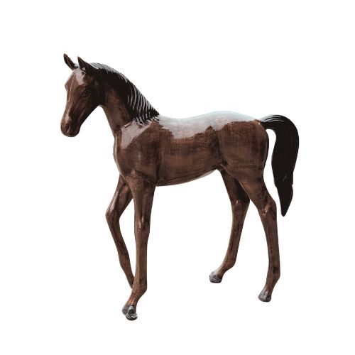 Foal 50"